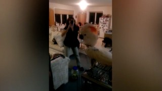 Cockatoo Grooves Furiously to Backstreet Boys and We're Dead