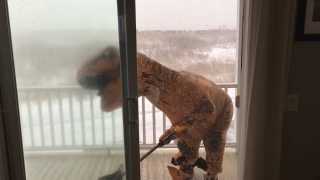 T-Rex Trying to Shovel Snow Shows Exactly Why It Went Extinct