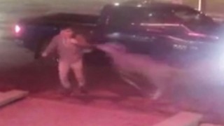 Deer Tackles Man in British Columbia Parking Lot Surveillance Video