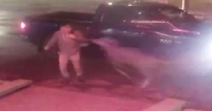 Deer Tackles Man in British Columbia Parking Lot Surveillance Video